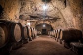 Domaine de Nerleux les caves