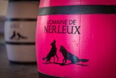 Domaine de Nerleux