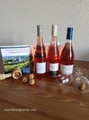 Hôtel des Vins La Godeline