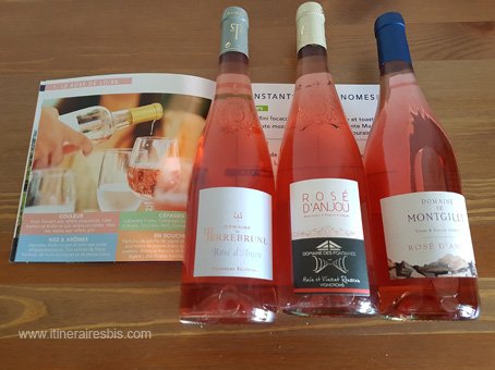 Vins_rosés_région_Anjou