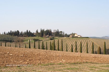 La route du Chianti paysage de Toscane