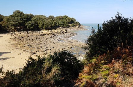 Crique sur Île d'Aix