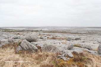 Le Burren, une mer de roches