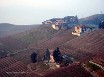 Visite du Château Grinzane Cavour des vignes à perte de vue