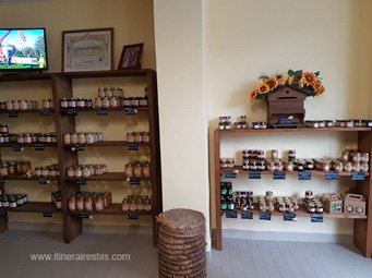 Les différents miels produits par Cauda Miel