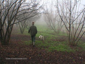 Départ pour notre recherche de truffes Départ pour notre recherche de truffes