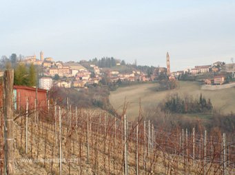Les paysages des Langhe et Roero sous la brume matinale
