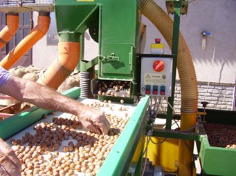 Terra delle Nocciole le tri et le calibrage Terra delle Nocciole le tri et le calibrage