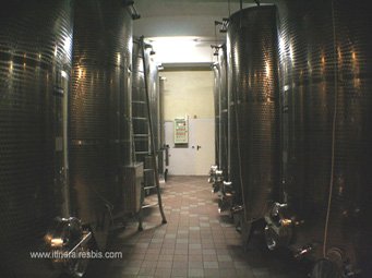 Visiter les caves La Torricella les cuves en inox