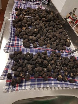 Tartufi Morra il y a aussi des truffes noires en cette saison Tartufi Morra il y a aussi des truffes noires en cette saison
