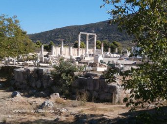 Site archéologique d'Epidaure l'Abaton