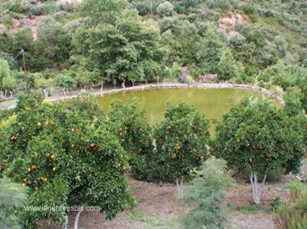 Jardin botanique de Crète, la petite mare Jardin botanique de Crète, le petit lac