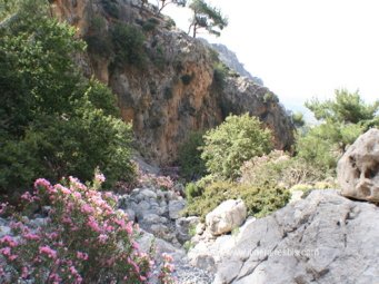 La gorge de Rouvas La gorge de Rouvas