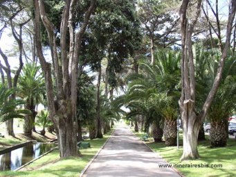 Les jardins du casino d'Estoril
