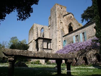 Les ruines de l'abbaye de Villelongue