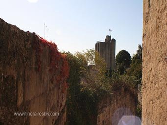 Visite de Saint Emilion la tour du Roy