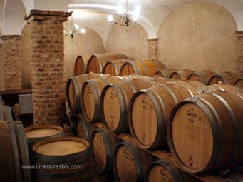 Visiter les caves La Torricella le vin se repose lentement