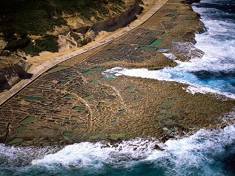 Marais salants taillés dans la roche de Gozo