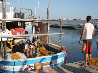 Agia Galini les pêcheurs nettoient les filets