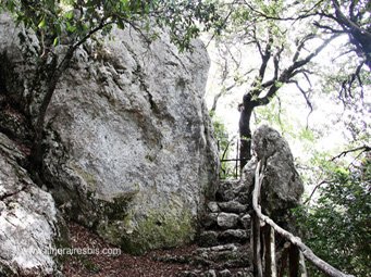 Bois sacré de Monteluco accès à la grotte d'un ermite