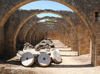 L'ancienne oliveraie du monastère de Karydi