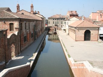 Le marché aux poissons