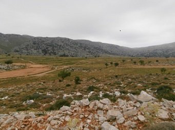 Chemin qui mène au site archéologique de Karfi