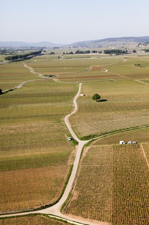 La voie des vignes Beaune-Santenay autour de Beaune Côte-d'Or Tourisme © A. MUZARD. Tous droits réservés