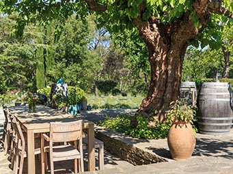 Domaine viticole, la Bastide du Clos d’Alari à Saint-Antonin-du-Var la terrasse