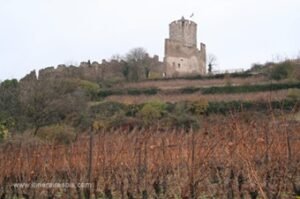Vestige du château de Kaysersberg