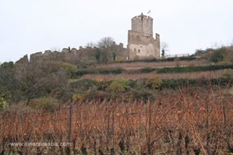 Vestige du château de Kaysersberg
