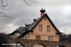 Les cigognes