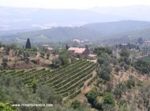 paysage de la région des Langhe Roero