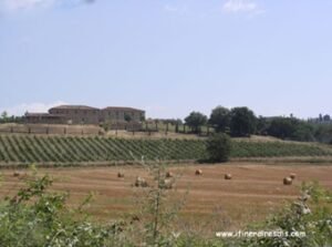 paysage de la région des Langhe Roero