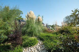 jardin de la ferme